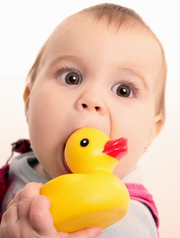 Baby chewing on phthalate-infested rubber ducky.